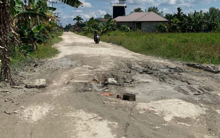 Jalan Desa Seberang Pebenaan Menuju Pulau Kijang