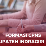 Formasi CPNS Kabupaten Indragiri Hilir